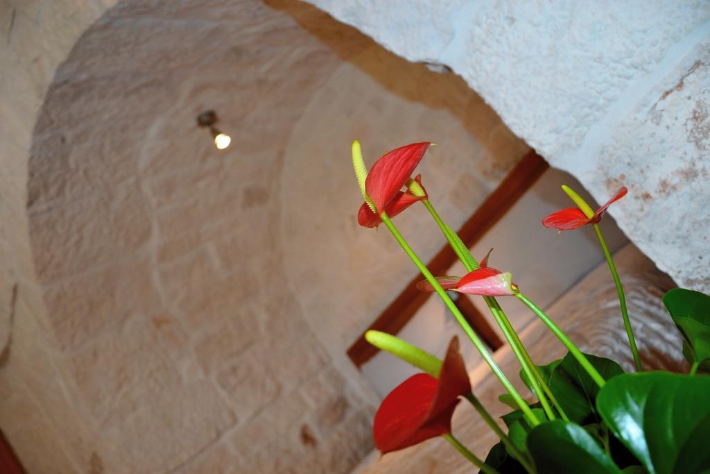 Villa Il Trullo Del Mirto Selva Di Fasano Exterior foto